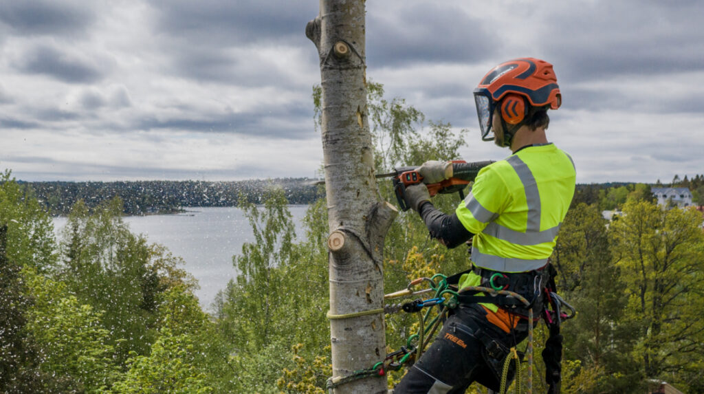 professionell sektionsfällning på Värmdö och i Stockholm